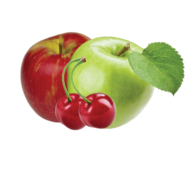 خلیفه